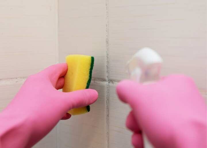mold company Philadelphia PA