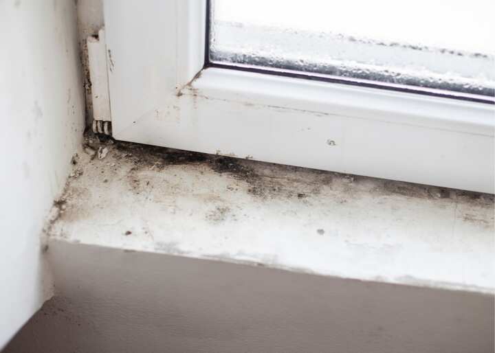 mold testing Philadelphia PA