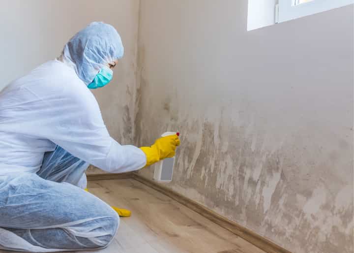 mold removal Philadelphia