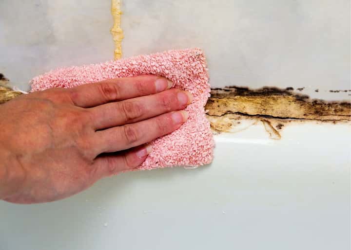 mold remediation Philadelphia