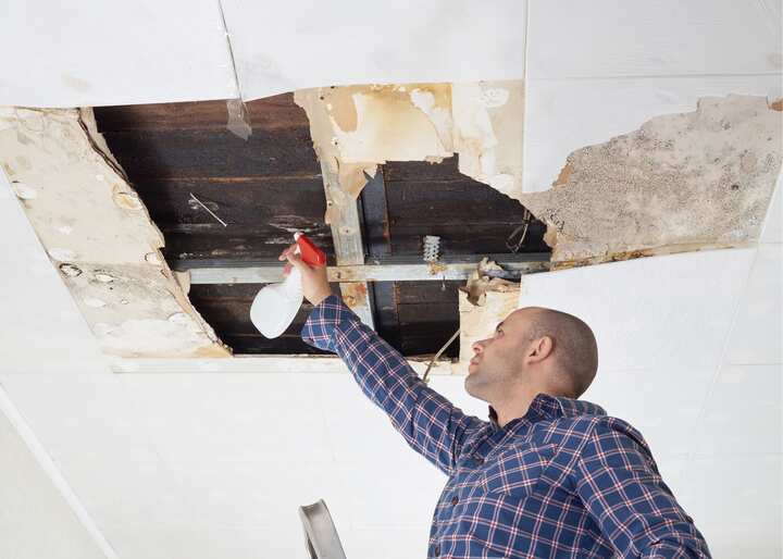 mold removal Philadelphia