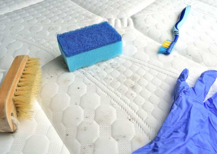 mold testing Philadelphia PA