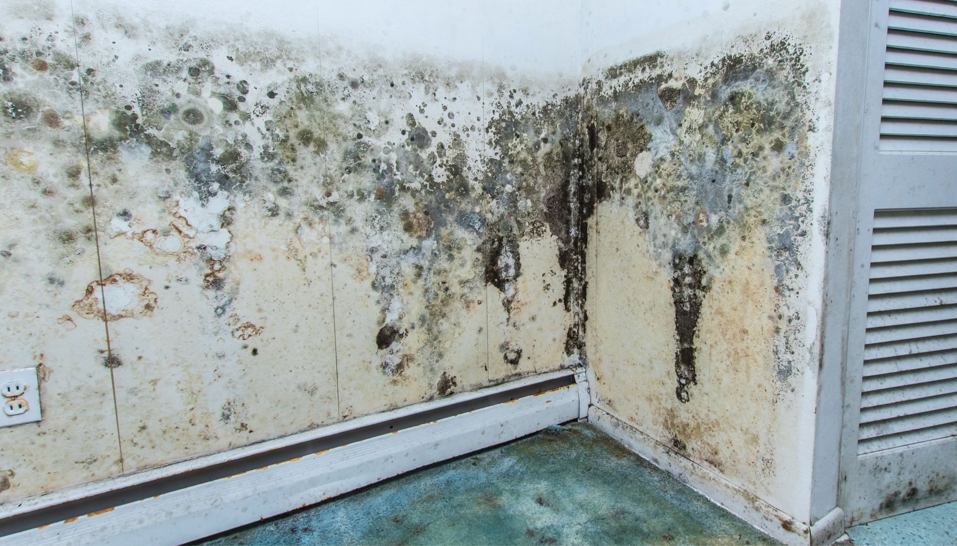 Professional mold removal, odor control, and water damage restoration service in Philadelphia, Pennsylvania.
