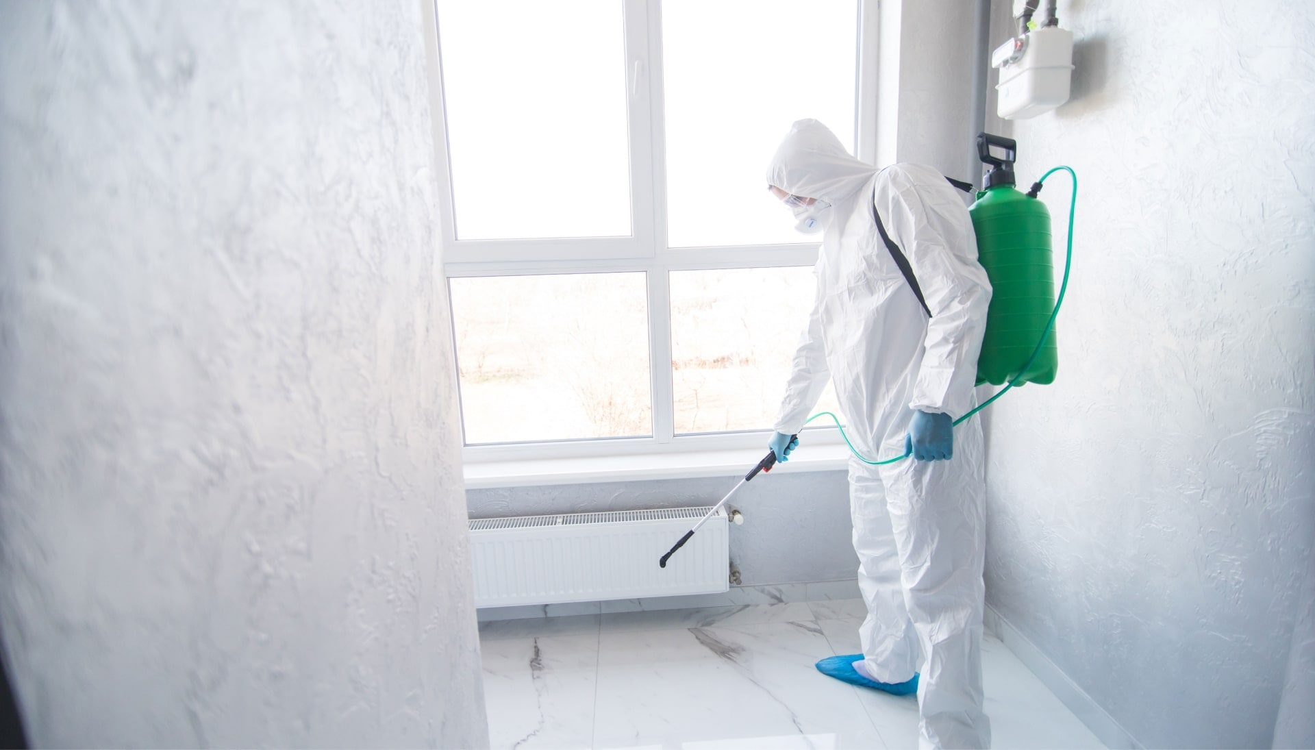 We provide the highest-quality mold inspection, testing, and removal services in the Philadelphia, Pennsylvania area.